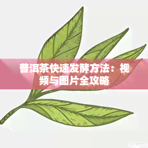 普洱茶快速发酵方法：视频与图片全攻略