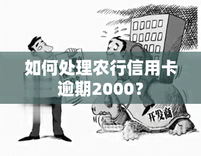 如何处理农行信用卡逾期2000？