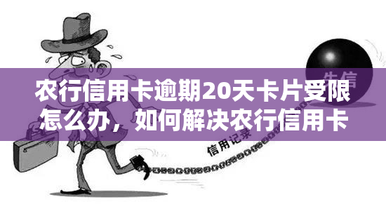 农行信用卡逾期20天卡片受限怎么办，如何解决农行信用卡逾期20天导致的卡片受限问题？