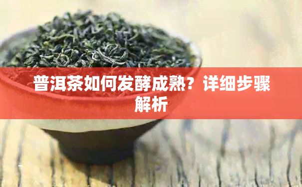 普洱茶如何发酵成熟？详细步骤解析