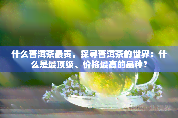 什么普洱茶最贵，探寻普洱茶的世界：什么是最顶级、价格更高的品种？