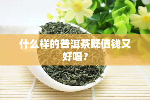 什么样的普洱茶既值钱又好喝？