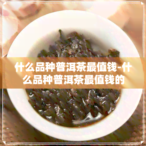 什么品种普洱茶最值钱-什么品种普洱茶最值钱的