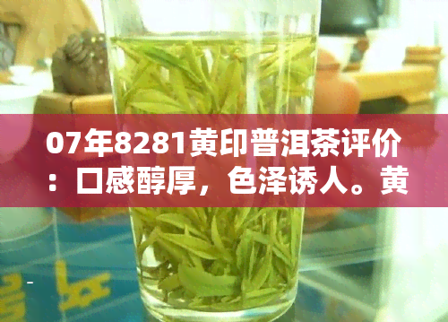 07年8281黄印普洱茶评价：口感醇厚，色泽诱人。黄印7262熟茶普洱也备受好评，价格亲民。7572黄印普洱茶市场表现如何？一文告诉你。