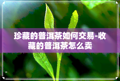 珍藏的普洱茶如何交易-收藏的普洱茶怎么卖