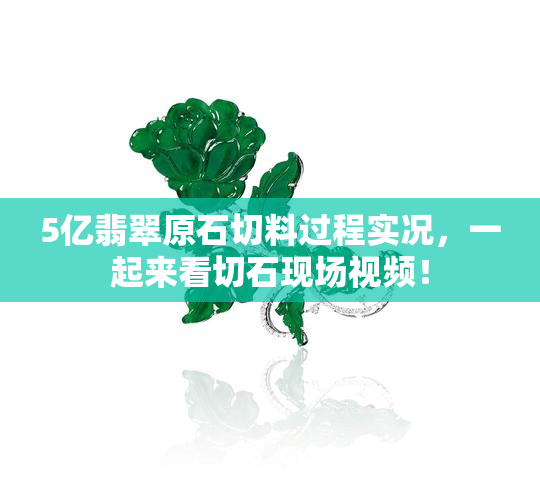 5亿翡翠原石切料过程实况，一起来看切石现场视频！