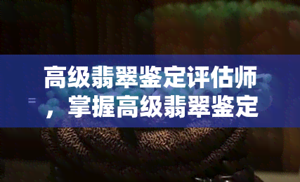 高级翡翠鉴定评估师，掌握高级翡翠鉴定评估技巧，成为行业专家！