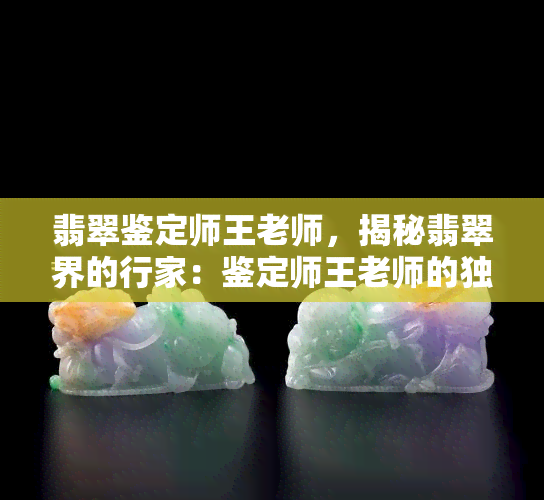 翡翠鉴定师王老师，揭秘翡翠界的行家：鉴定师王老师的独特视角与经验分享