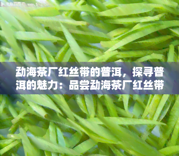 勐海茶厂红丝带的普洱，探寻普洱的魅力：品尝勐海茶厂红丝带的独特韵味