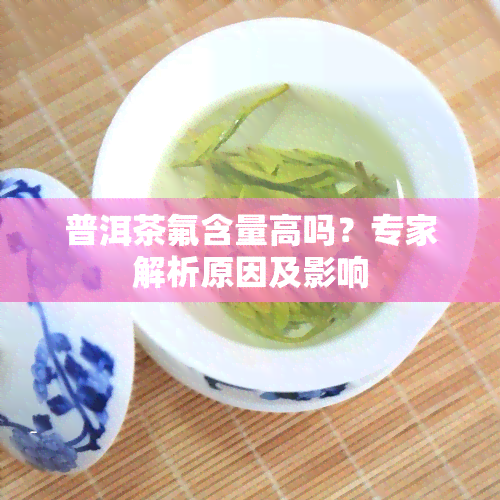 普洱茶氟含量高吗？专家解析原因及影响