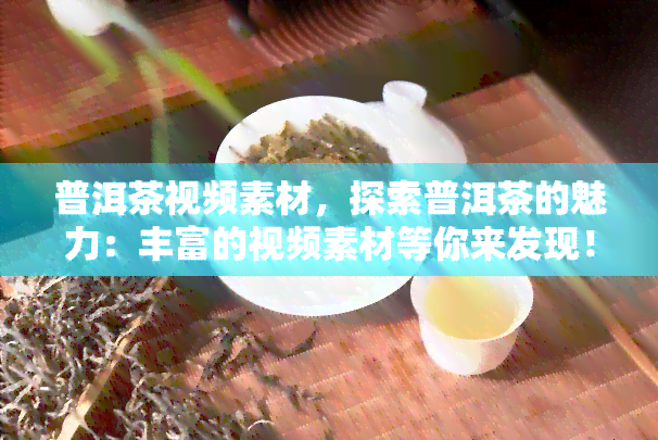 普洱茶视频素材，探索普洱茶的魅力：丰富的视频素材等你来发现！