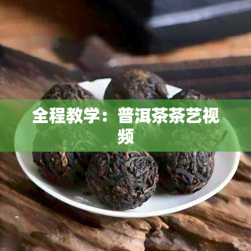 全程教学：普洱茶茶艺视频