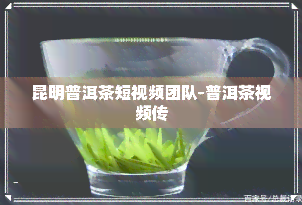 昆明普洱茶短视频团队-普洱茶视频传