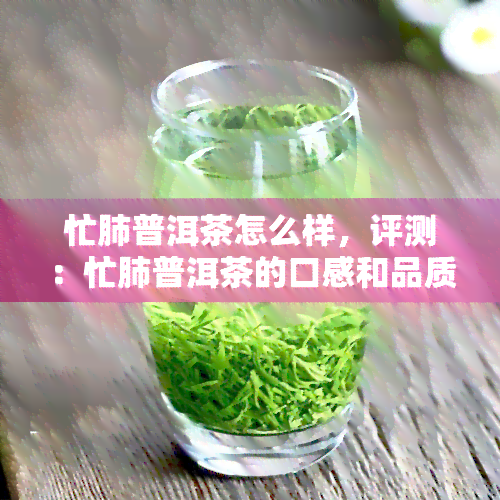 忙肺普洱茶怎么样，评测：忙肺普洱茶的口感和品质究竟如何？