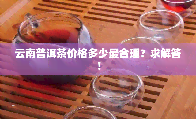 云南普洱茶价格多少最合理？求解答！