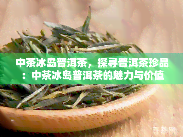 中茶冰岛普洱茶，探寻普洱茶珍品：中茶冰岛普洱茶的魅力与价值