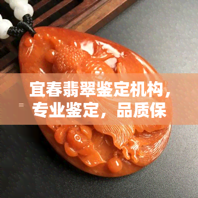 宜春翡翠鉴定机构，专业鉴定，品质保证！宜春翡翠鉴定机构等你来