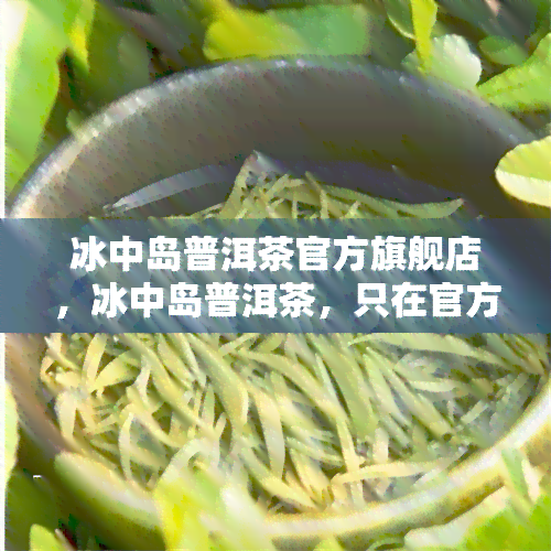 冰中岛普洱茶官方旗舰店，冰中岛普洱茶，只在官方旗舰店购买！