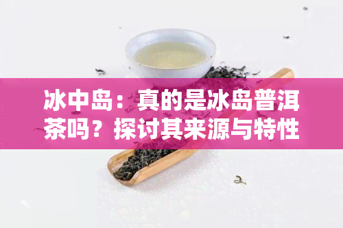 冰中岛：真的是冰岛普洱茶吗？探讨其来源与特性