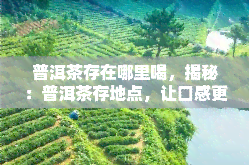 普洱茶存在哪里喝，揭秘：普洱茶存地点，让口感更上一层楼！