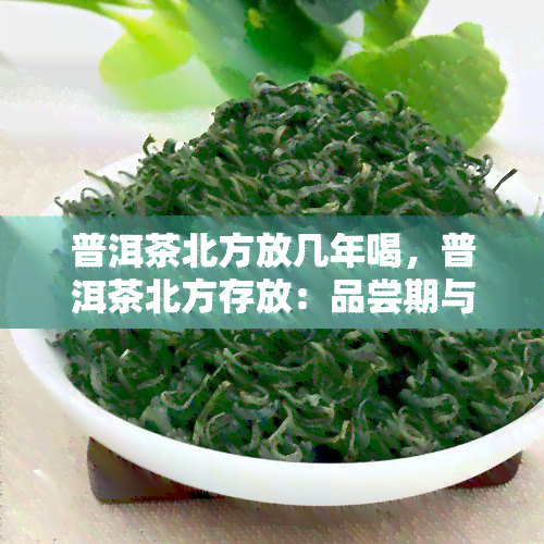 普洱茶北方放几年喝，普洱茶北方存放：品尝期与口感解析