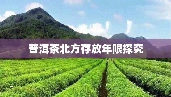 普洱茶北方存放年限探究