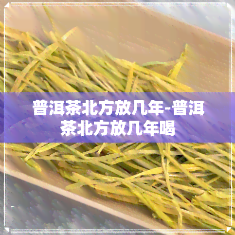 普洱茶北方放几年-普洱茶北方放几年喝