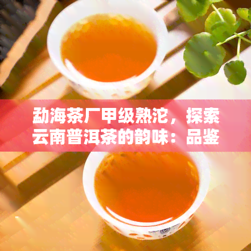 勐海茶厂甲级熟沱，探索云南普洱茶的韵味：品鉴勐海茶厂甲级熟沱