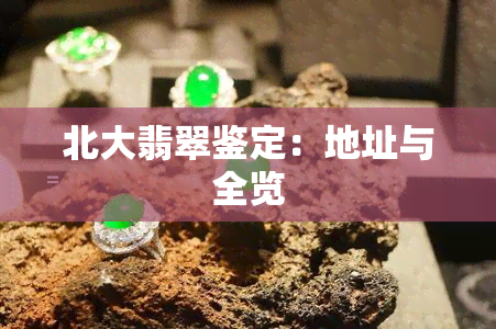 北大翡翠鉴定：地址与全览