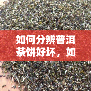 如何分辨普洱茶饼好坏，如何判断普洱茶饼的品质优劣？