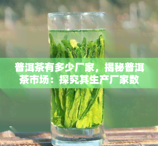 普洱茶有多少厂家，揭秘普洱茶市场：探究其生产厂家数量