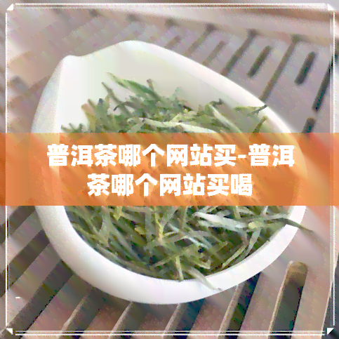 普洱茶哪个网站买-普洱茶哪个网站买喝