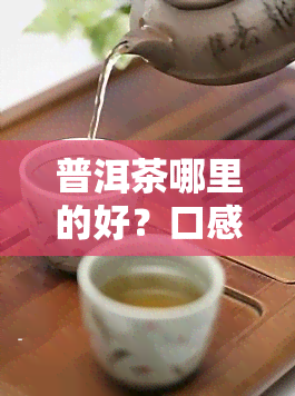 普洱茶哪里的好？口感、健兼得的推荐