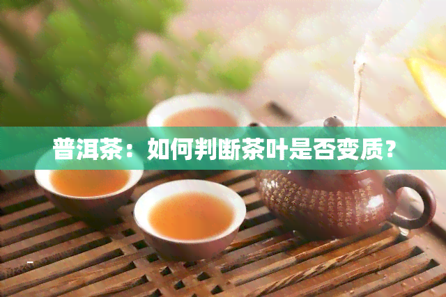 普洱茶：如何判断茶叶是否变质？