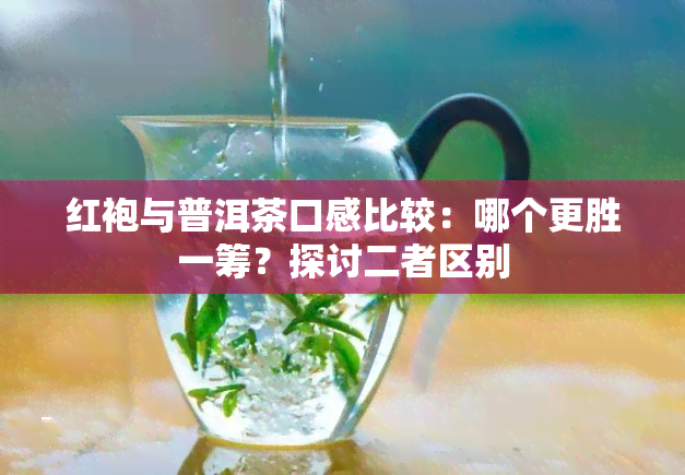 红袍与普洱茶口感比较：哪个更胜一筹？探讨二者区别