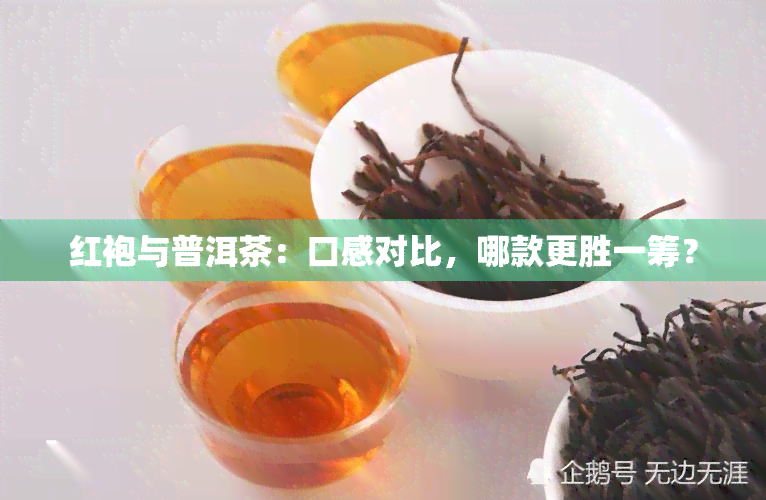 红袍与普洱茶：口感对比，哪款更胜一筹？