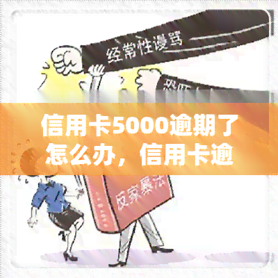 信用卡5000逾期了怎么办，信用卡逾期5000元，应该如何处理？