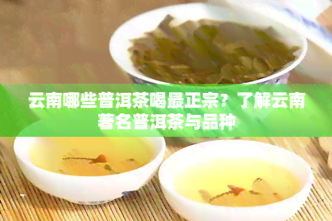 云南哪些普洱茶喝最正宗？了解云南著名普洱茶与品种