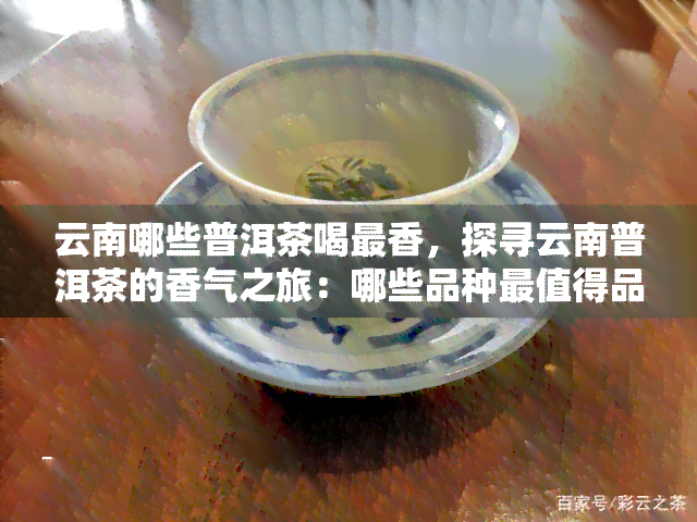 云南哪些普洱茶喝最香，探寻云南普洱茶的香气之旅：哪些品种最值得品尝？