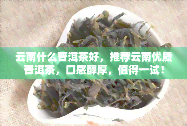 云南什么普洱茶好，推荐云南优质普洱茶，口感醇厚，值得一试！