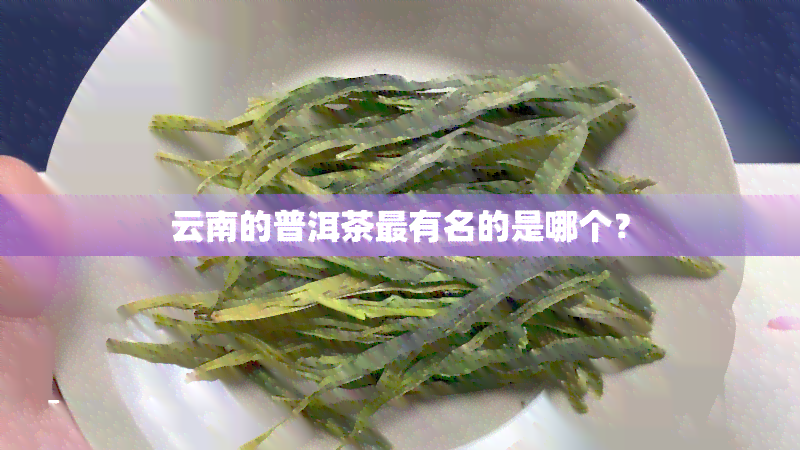 云南的普洱茶最有名的是哪个？