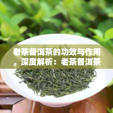 老茶普洱茶的功效与作用，深度解析：老茶普洱茶的神奇功效与作用