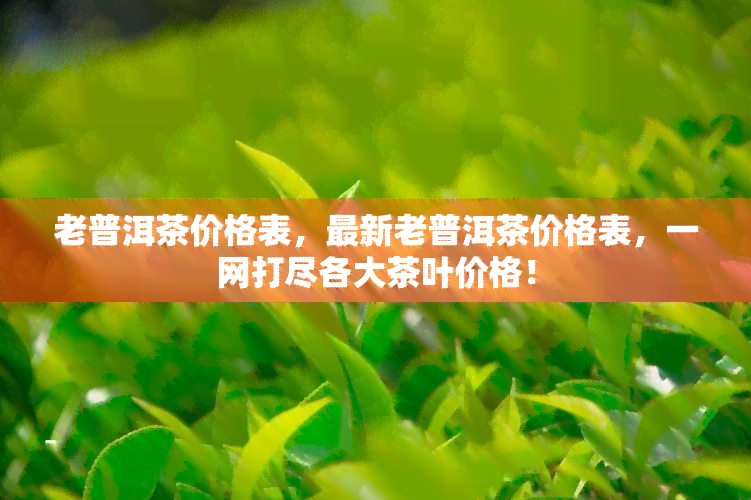 老普洱茶价格表，最新老普洱茶价格表，一网打尽各大茶叶价格！