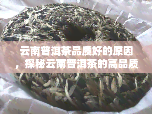 云南普洱茶品质好的原因，探秘云南普洱茶的高品质之源