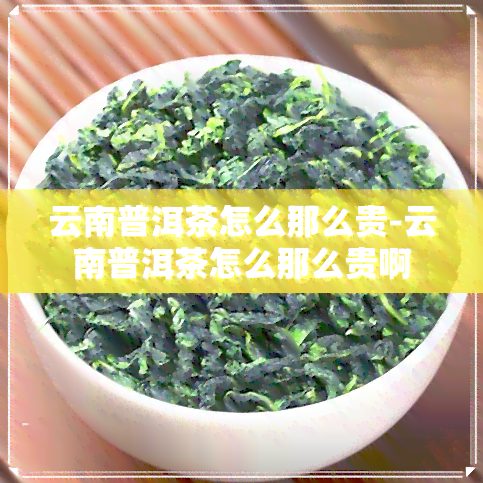 云南普洱茶怎么那么贵-云南普洱茶怎么那么贵啊