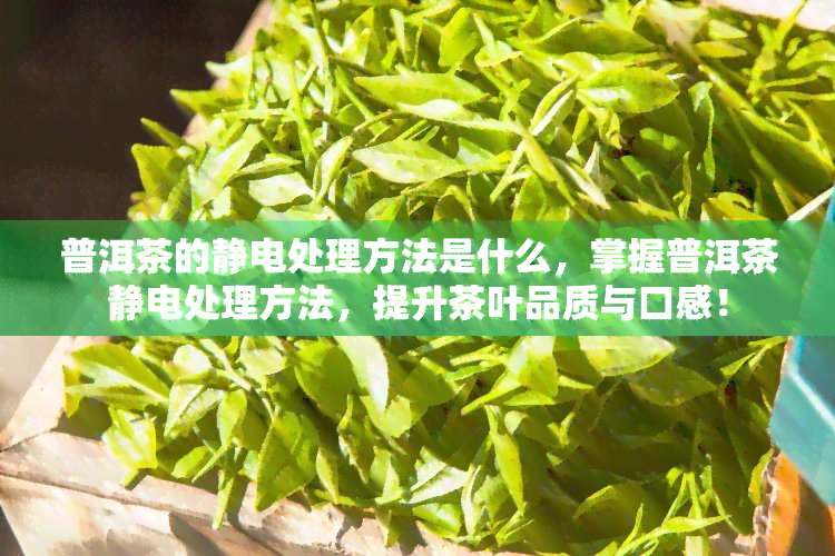 普洱茶的静电处理方法是什么，掌握普洱茶静电处理方法，提升茶叶品质与口感！