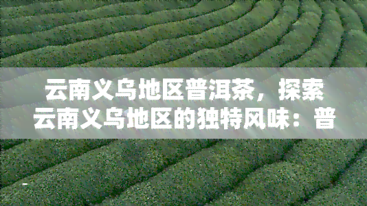 云南义乌地区普洱茶，探索云南义乌地区的独特风味：普洱茶的魅力