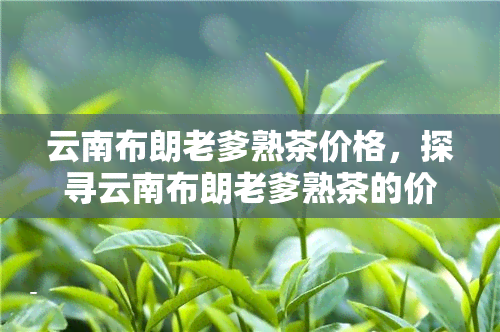 云南布朗老爹熟茶价格，探寻云南布朗老爹熟茶的价格：一份全面的市场分析报告