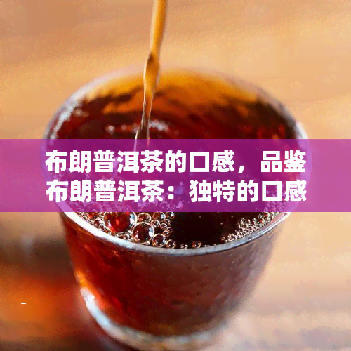 布朗普洱茶的口感，品鉴布朗普洱茶：独特的口感体验