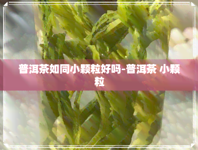 普洱茶如同小颗粒好吗-普洱茶 小颗粒